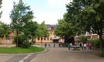 Quelle: Grundschule Elgersweier, Grundschule Elgersweier klicken für Großansicht